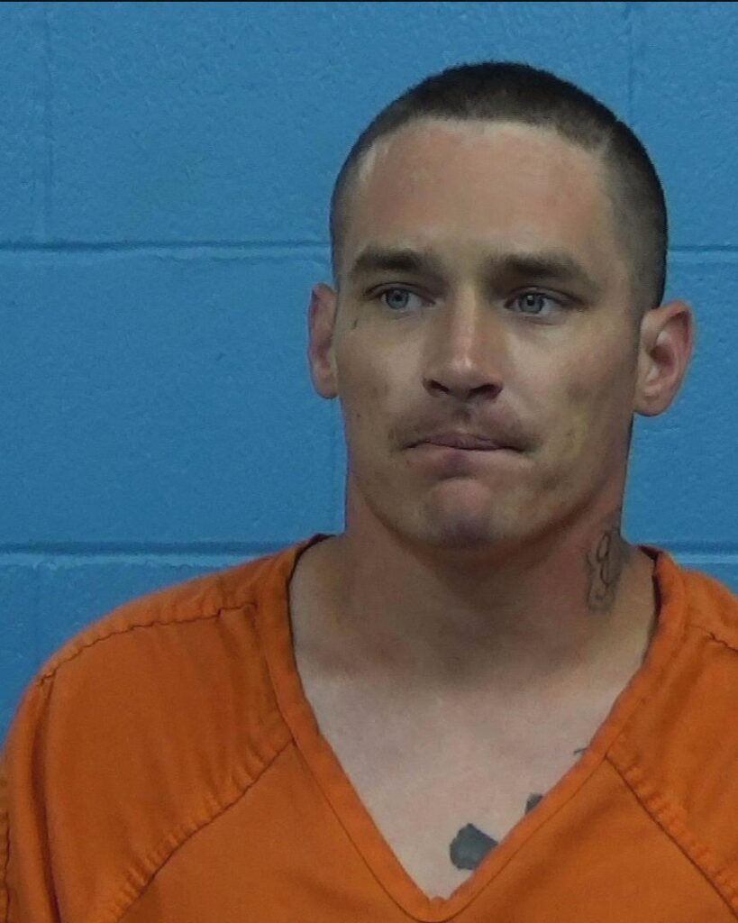 Leras, Michael James arrested in Williamson County, Texas mugshot