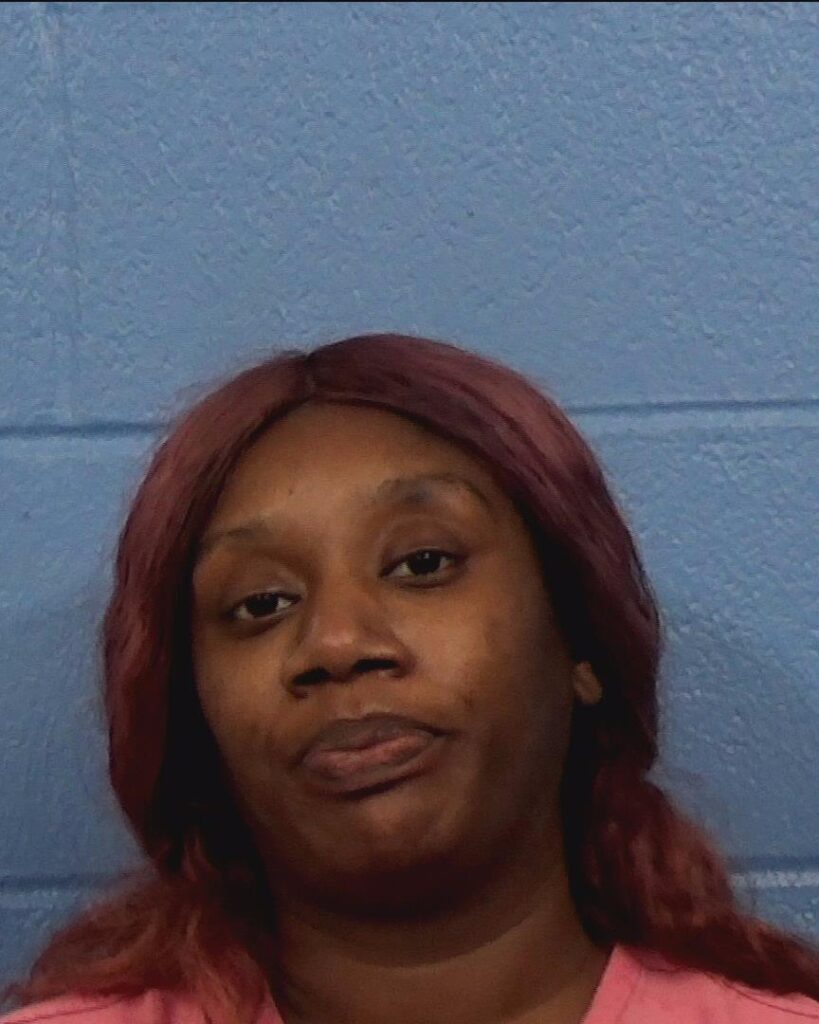 Robinson, Destiny Shamere arrested in Williamson County, Texas mugshot