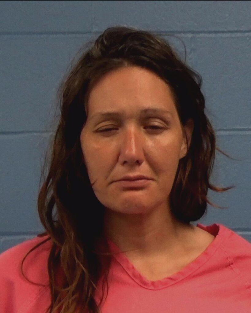 Ficklen, Tara Brooke arrested in Williamson County, Texas mugshot