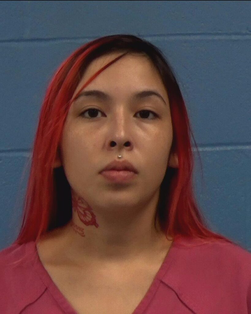 Chapa, Alexus Leigh arrested in Williamson County, Texas mugshot