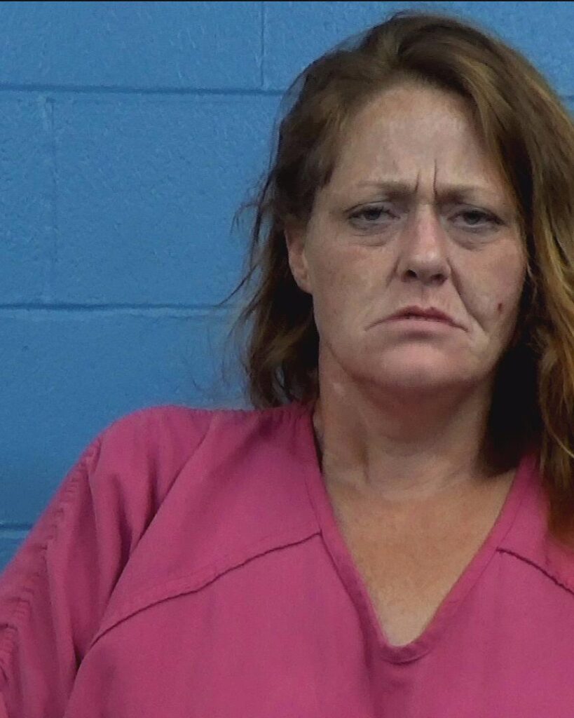Miller, Melinda Deann arrested in Williamson County, Texas mugshot