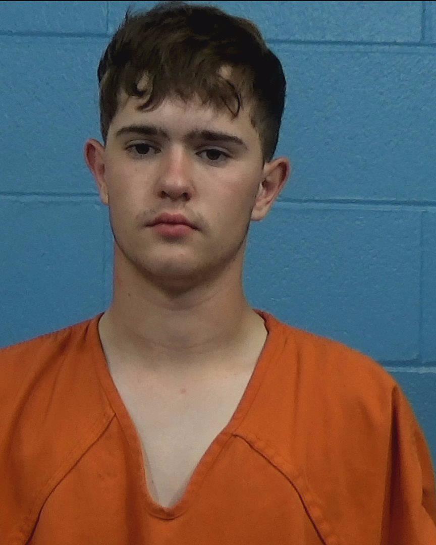 Lineberry, Michael Joseph arrested by Williamson County PD/SO