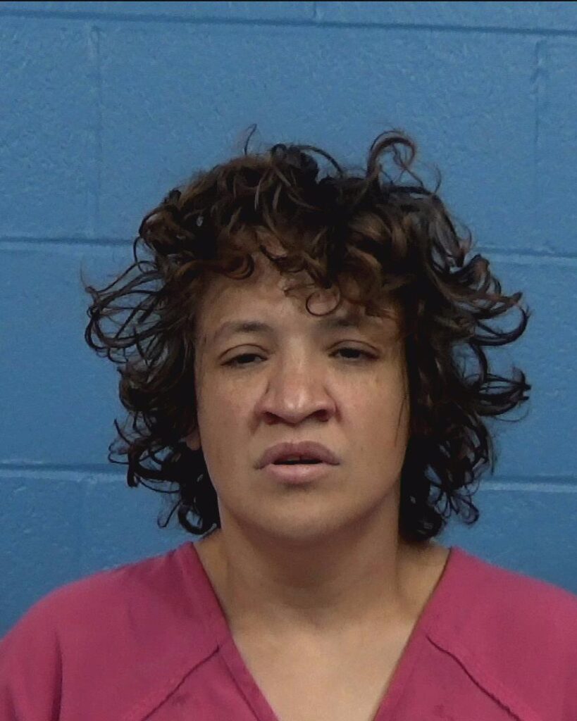 Saenz, Monica Marie arrested in Williamson County, Texas mugshot