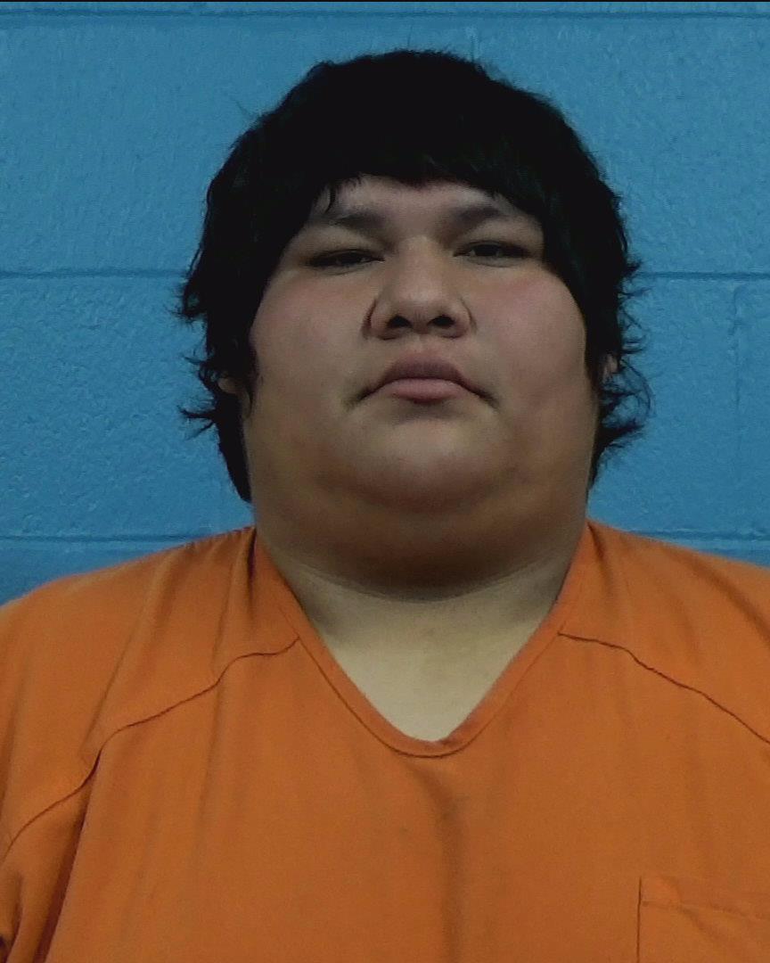 Trevino, Albert Andy, Jr. booking photo