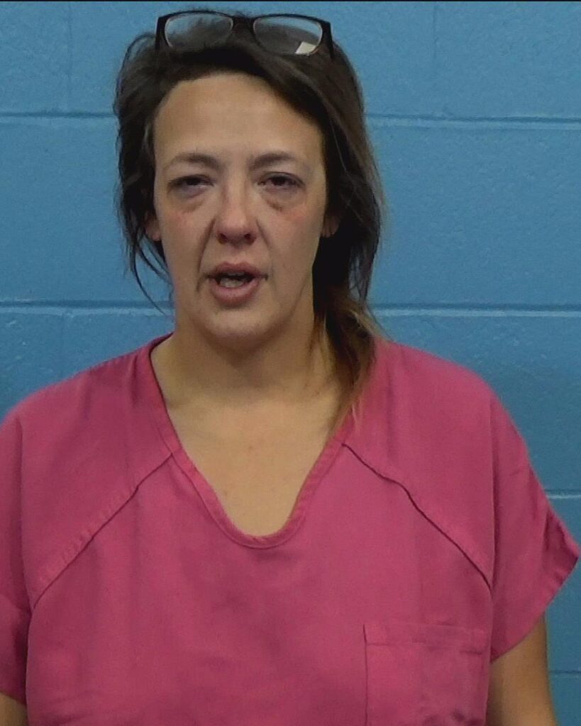 Martin, Susanna Beth arrested in Williamson County, Texas mugshot