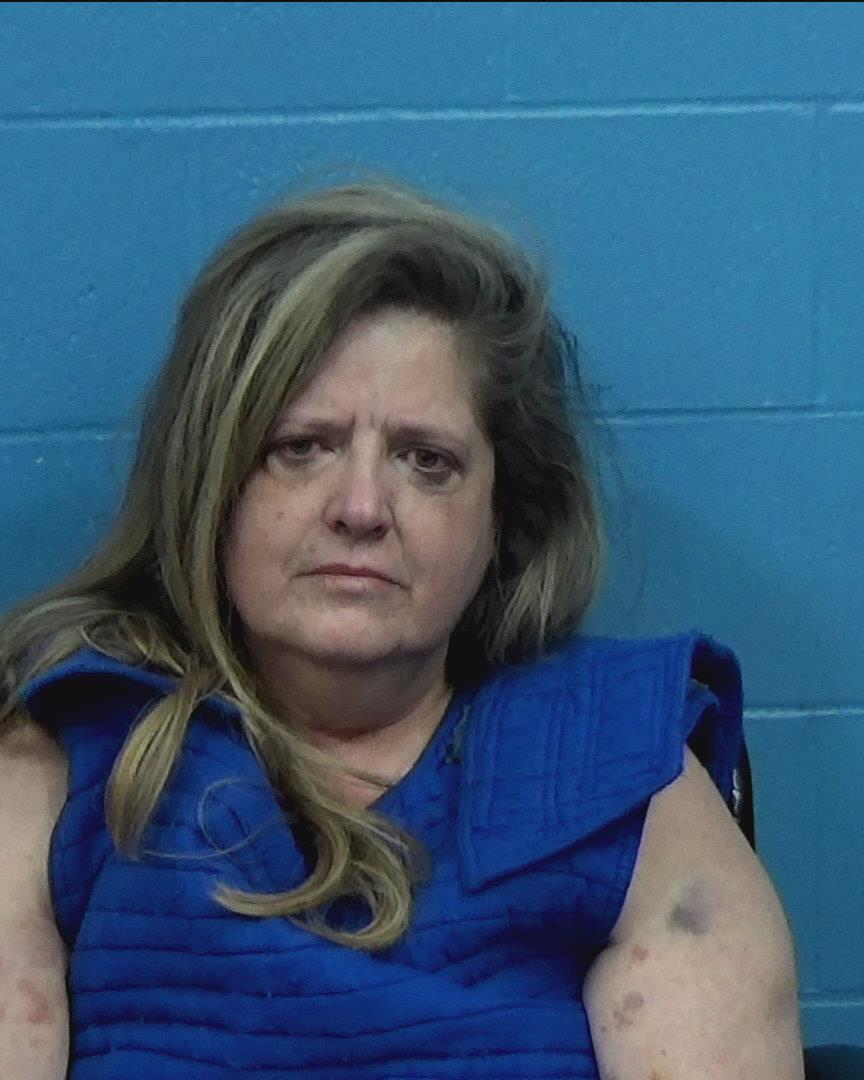 Lee, Lisa Marie arrested by Williamson County PD/SO