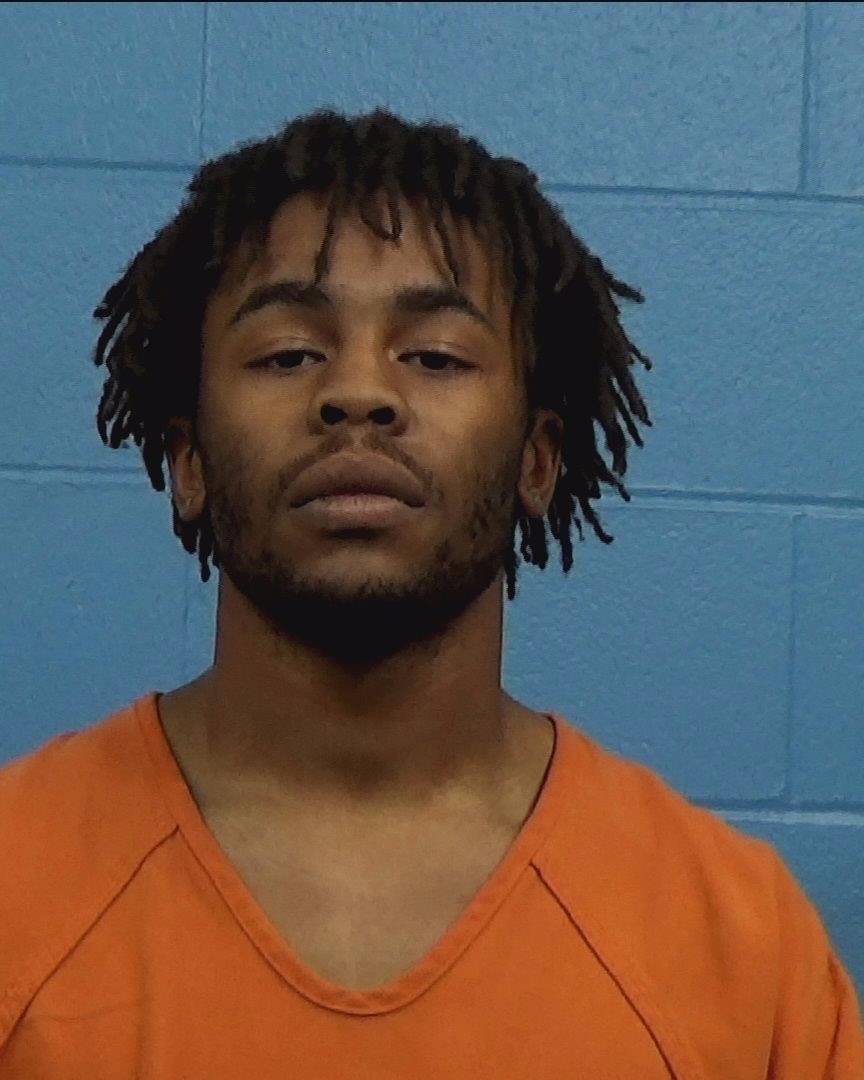 Johnson, Robert arrested by Williamson County PD/SO