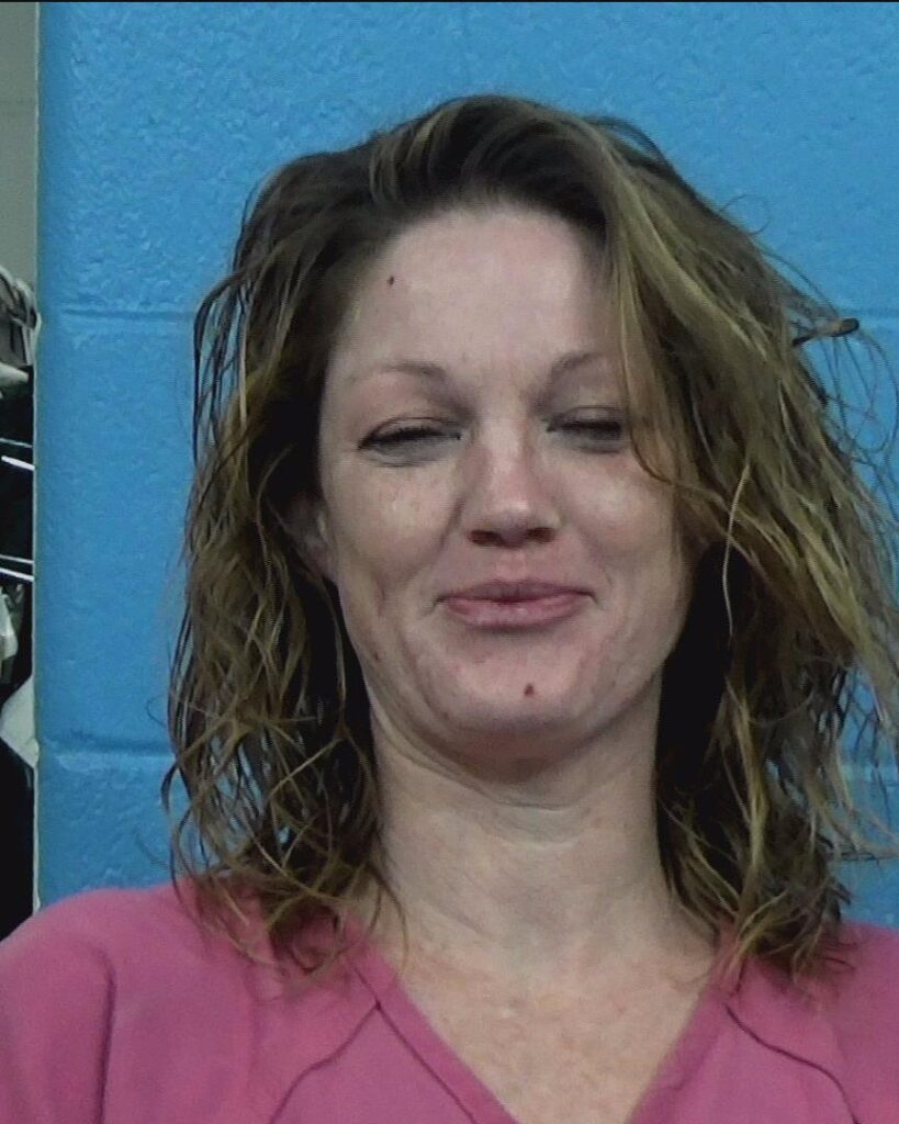 Small, Christine Morgan arrest record in Williamson County, Texas Small, Christine Morgan arrested in Williamson County, Texas mugshot