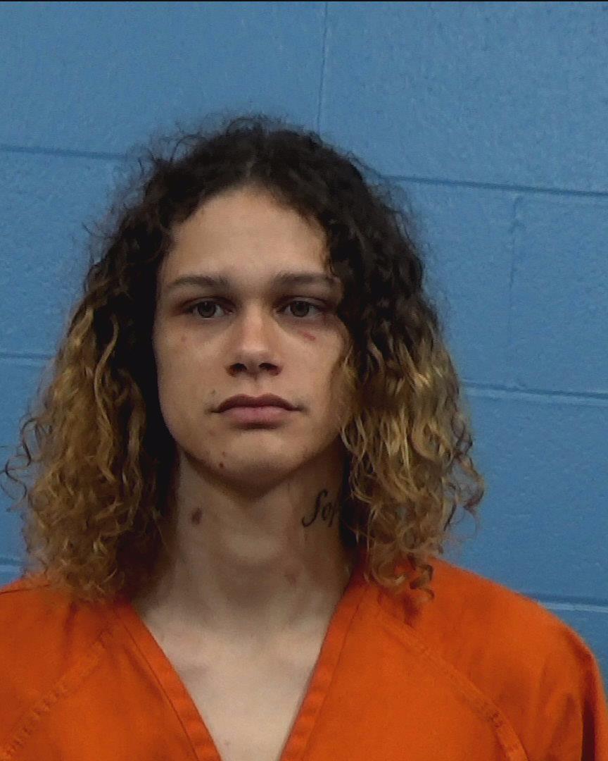 Weaver, Layton Hollis arrested by Williamson County PD/SO