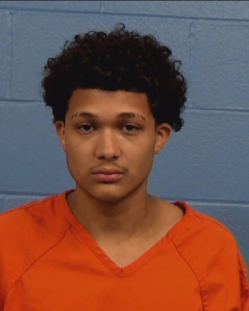 Alvarado, David arrested in Williamson County, Texas mugshot