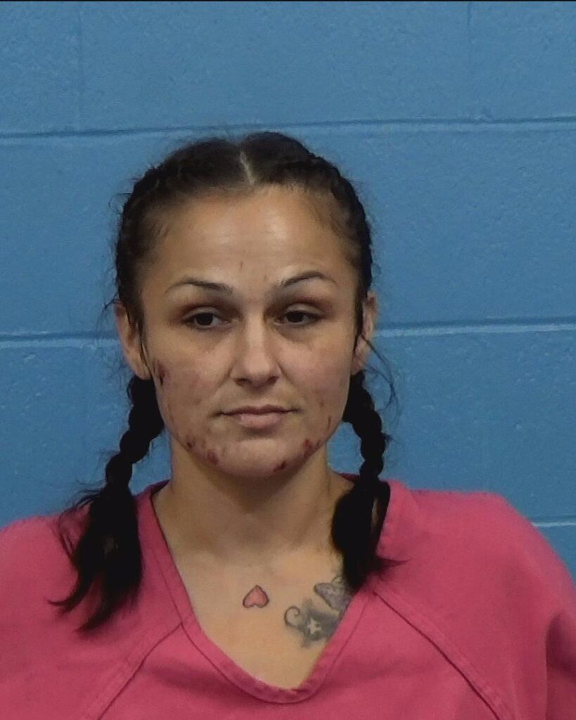Monroy, Jessica Lynn arrest record in Williamson County, Texas Monroy, Jessica Lynn arrested in Williamson County, Texas mugshot