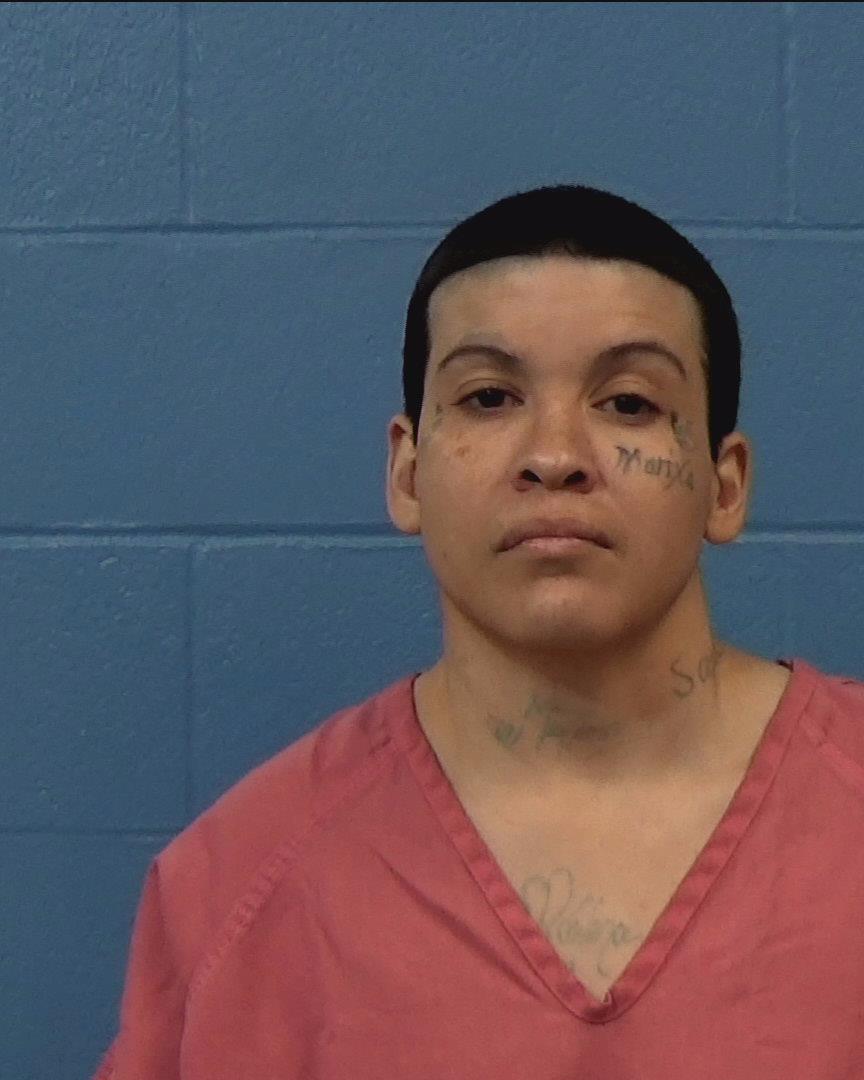 Olguin, Ashley Nikita booking photo