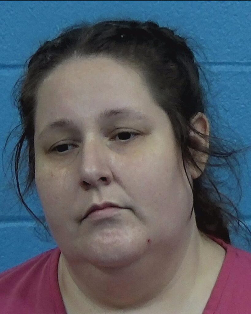 Berumen, Sierra Elise arrested in Williamson County, Texas mugshot