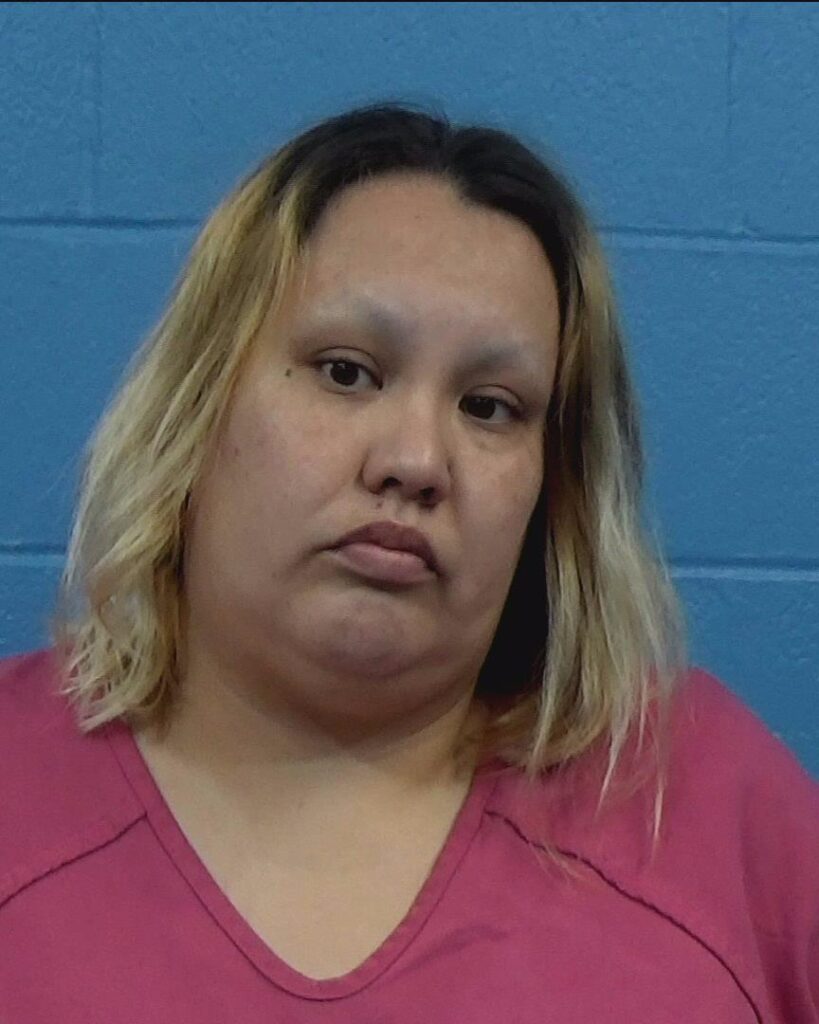 Anderson, Kimberly Leann arrested in Williamson County, Texas mugshot