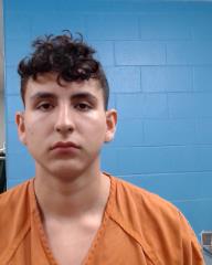 Lara, Daniel Rae booking photo