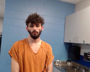 Wisniewski, David Adam arrested by Williamson County PD/SO