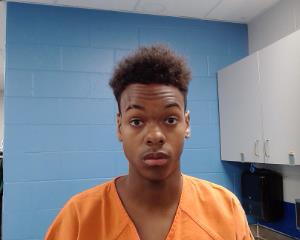 Blue, Joshua Michael arrested by Williamson County PD/SO
