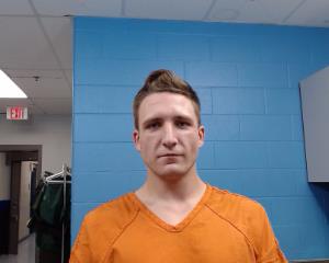 Davis, Larnce Alan arrested by Williamson County PD/SO
