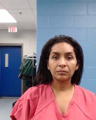 Cardenas Castillo, Li Mairro booking photo