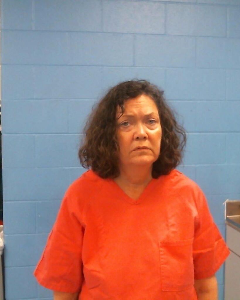 Mcquillan, Donna Mishelle arrest record in Williamson County, Texas Mcquillan, Donna Mishelle arrested in Williamson County, Texas mugshot