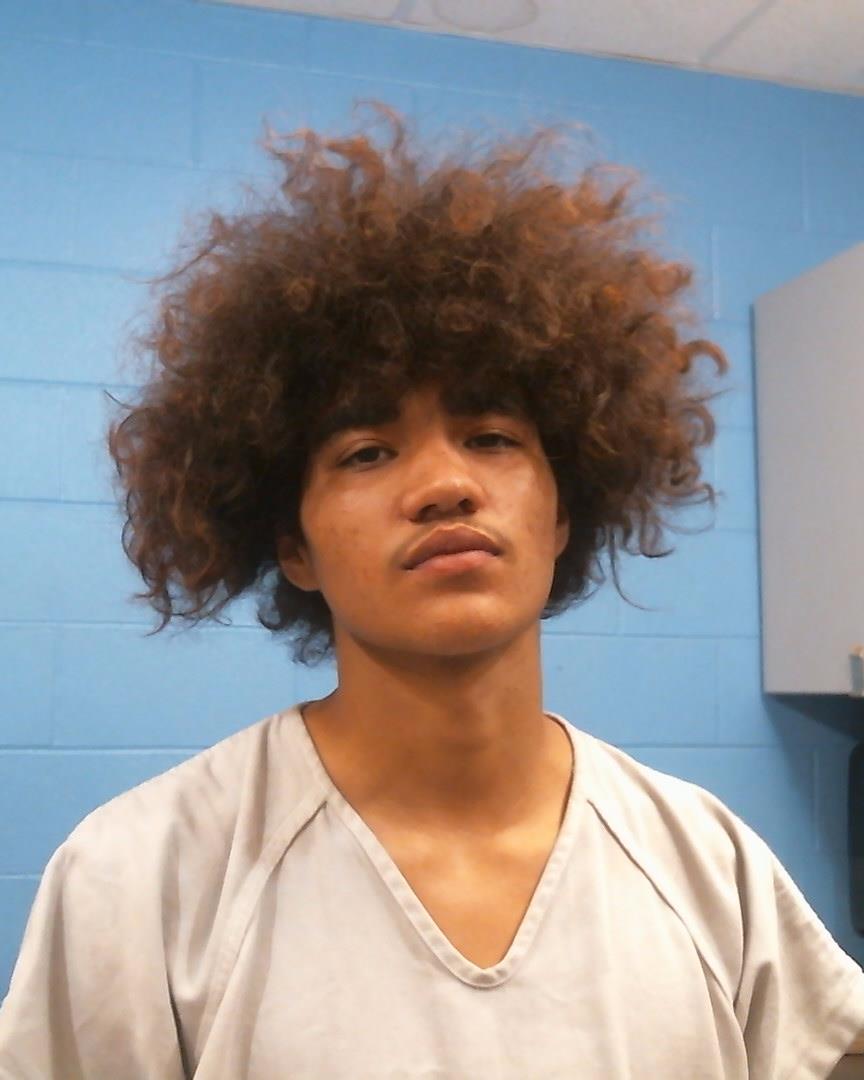 Alvarez, Steven Ray arrested by Williamson County PD/SO