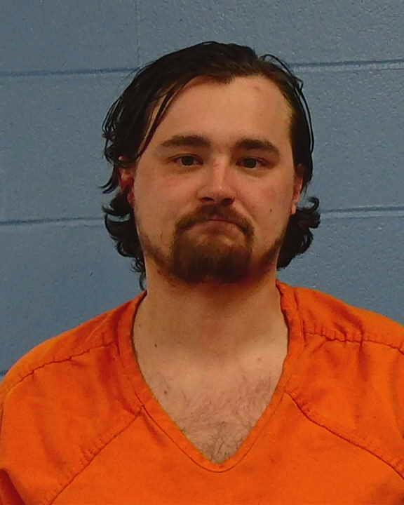 Guin, William Alexander arrested by Williamson County PD/SO
