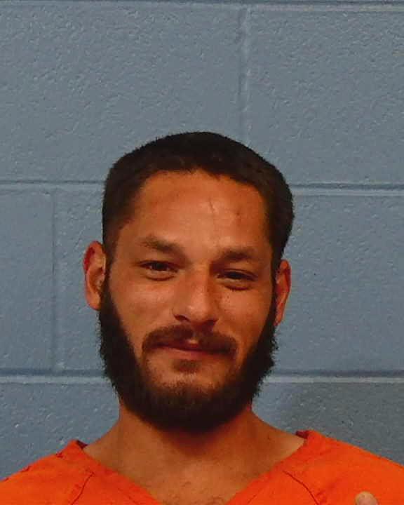 Simon, Cameron Mitchel booking photo