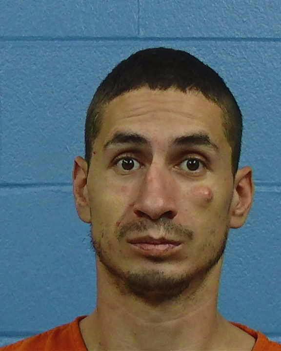 Garner, David Thomas booking photo