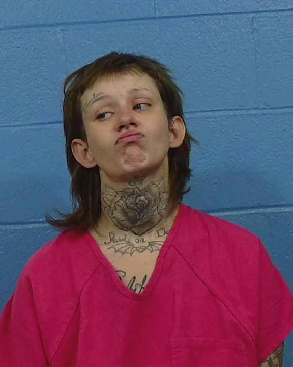 Gentry, Brittany Dawn booking photo