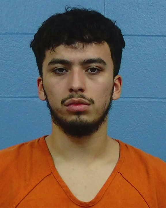 Gonsalvez, Diego Andrese booking photo