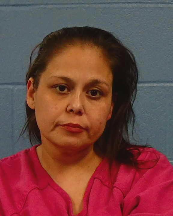 Perez, Lezlie Nicol booking photo