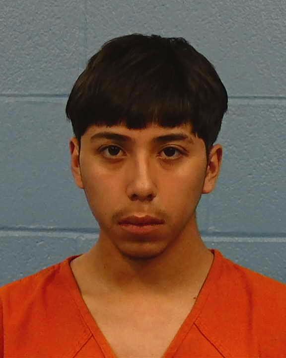 Gaona, Devin Lee booking photo