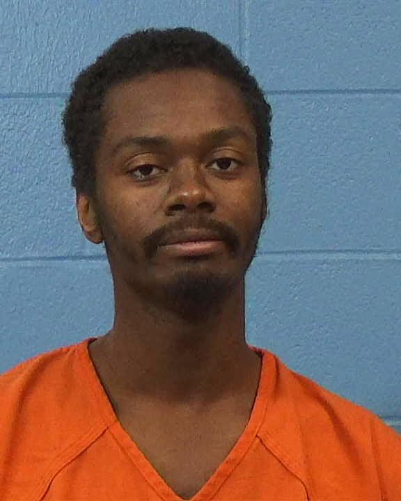 Holmes, John Robert arrested by Williamson County PD/SO