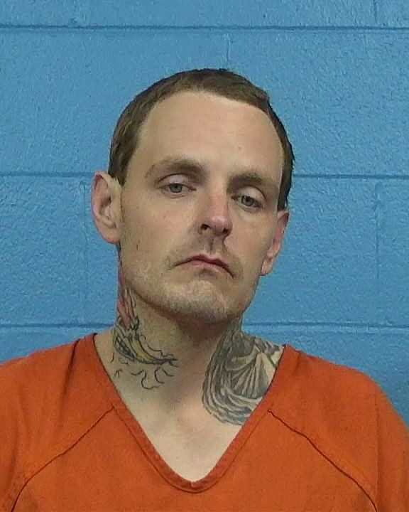 Bryant, Dustin James arrested by Williamson County PD/SO