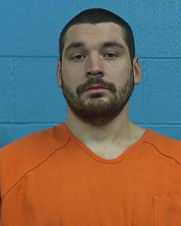 Williams, Nelson Kaine arrested by Williamson County PD/SO