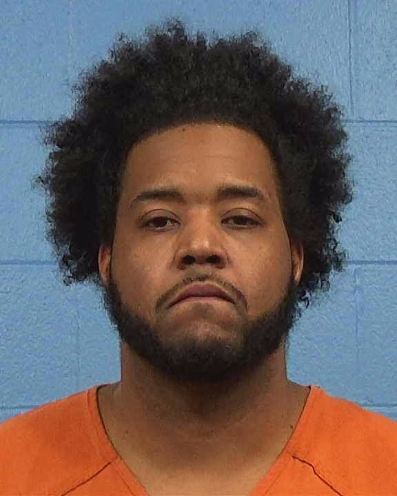 Turner, Harrison Ford booking photo