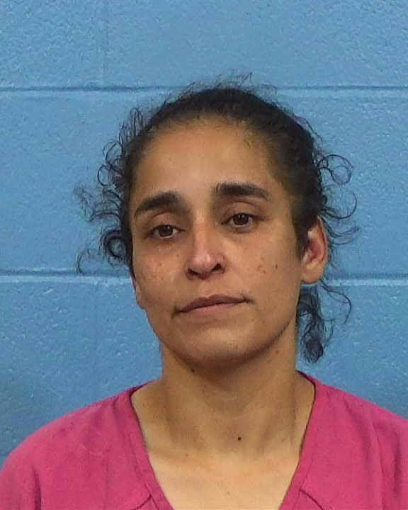 Castillo, Crystal Michelle booking photo