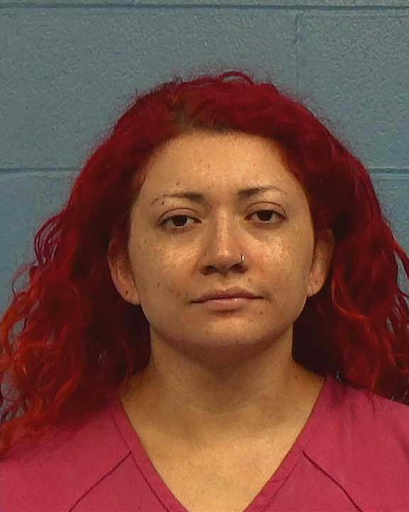 Waggoner, Dianne booking photo