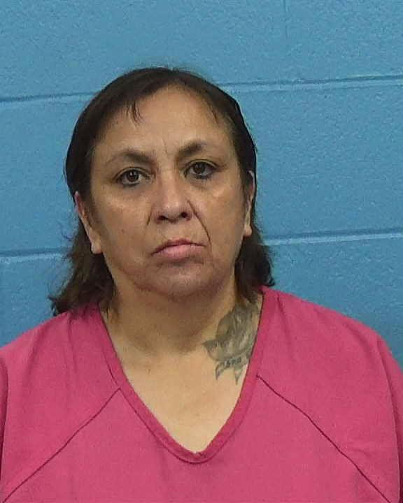 Molina, Sandra Salinas booking photo