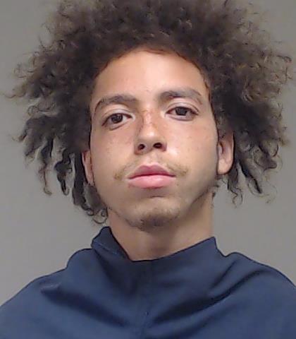 Brown, Christopher booking photo