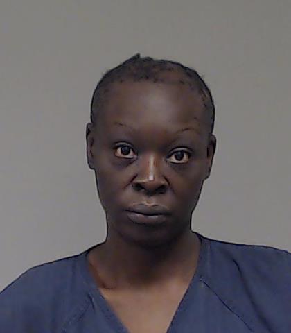 Ervin, Lashunda Monique booking photo