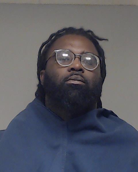 HOLMAN, DAMIE WYNNE JR booking photo