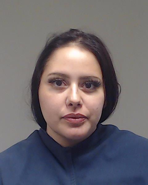 Ogas, Celeste Delva booking photo