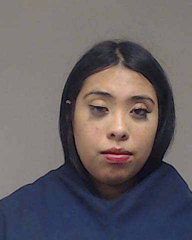 Grimaldo, Michelle arrested by Collin County SO/PD