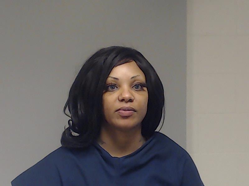 Liggett, Vanessa Wilson booking photo