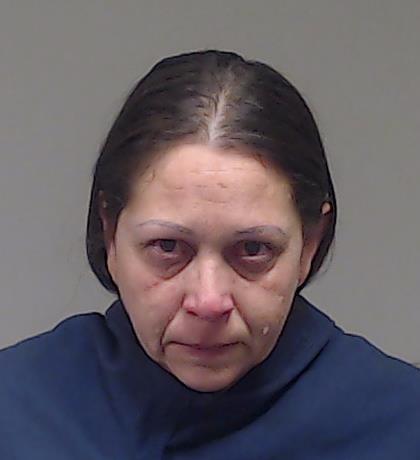 Perlmutter, Diana Fay booking photo