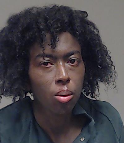 Brown, Christopher Anthony booking photo