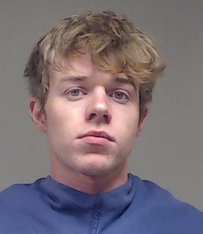 Burns, Chiron Van booking photo