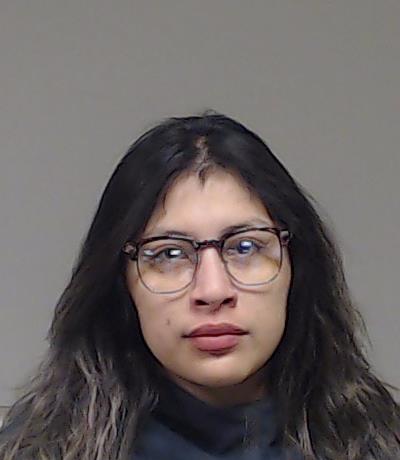 Telles, Vanessa booking photo