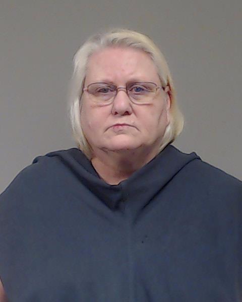 Davila, Janice Elane booking photo